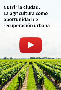 Nutrir la ciudad. La agricultura como oportunidad de recuperación urbana